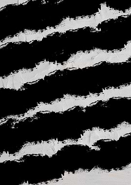 Black and White Beauty 12