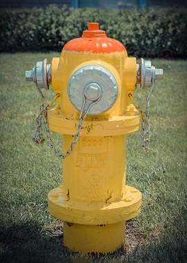 Bonnetless East Jordan