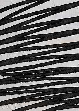 Black and White Beauty 11