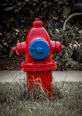 TCIW Hydrant