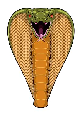 Cobra Head Snake