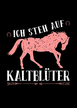 Pferde Reiten Reitsport