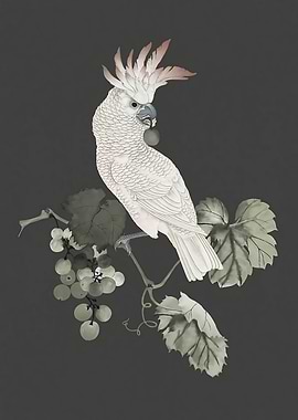 Cockatoo and Grapevine