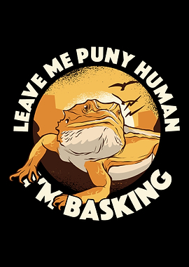 Bearded Dragon Reptile