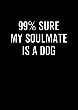 99 Sure My Soulmate is a