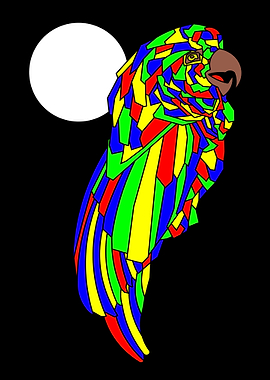 Night Multicolor Parrot