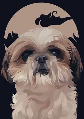 ShihTzu 2