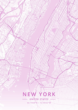 New York United States