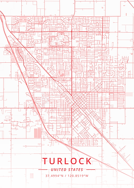 Turlock United States