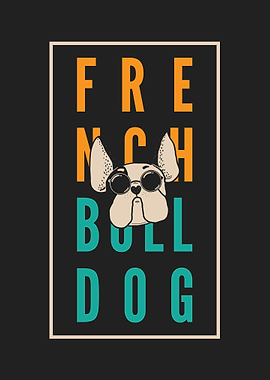 French bulldog