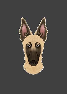 Belgian Malinois Lover I