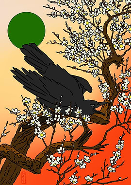 Sunset Crow