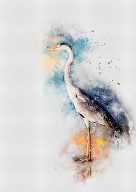 Heron