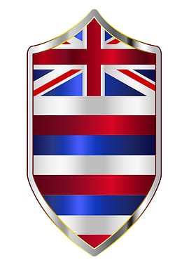 Hawaii Flag On Shield