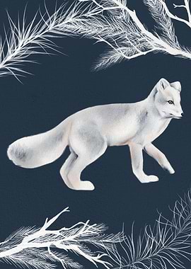Arctic Fox
