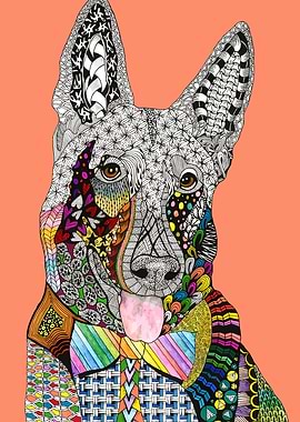 Happy German Shepherd Dog