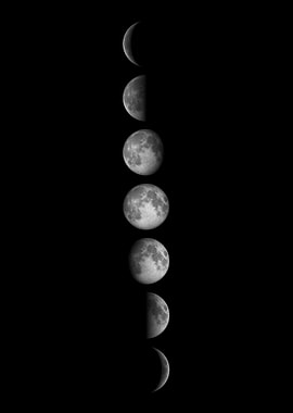 Moon Phases
