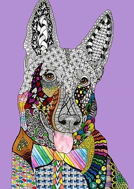 Happy German Shepherd Dog