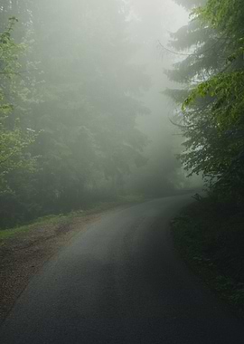 Misty Road