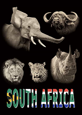 South Africa Big 5 Pride