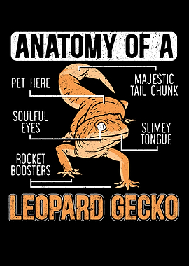 Anatomy Of A Leopard Gecko