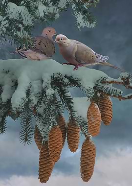 Doves With Snow
