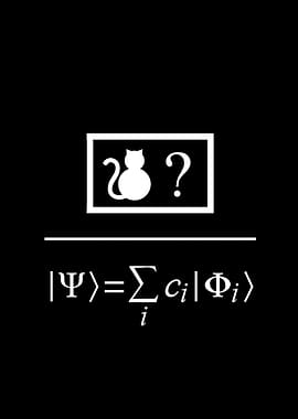 Quantum Superposition