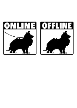 Sheltie Sheepdog Online