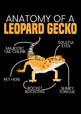 Anatomy Of A Leopard Gecko