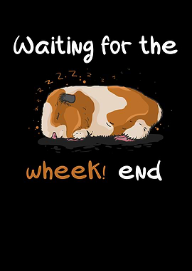 Waiting for the wheek end