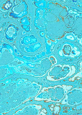 Turquoise Gold Texture 06