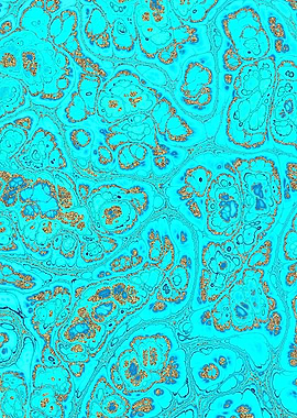 Turquoise Gold Texture 10