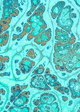 Turquoise Gold Texture 20