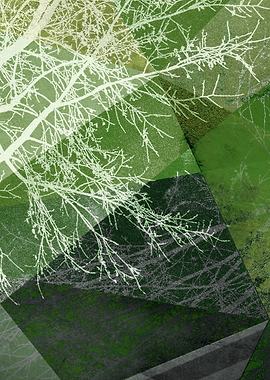 P19 E4a TREES AND TRIANGLE