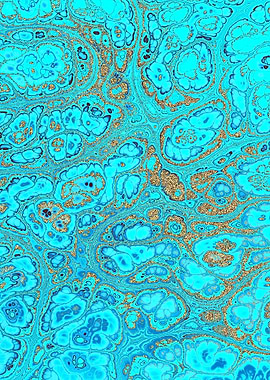 Turquoise Gold Texture 09