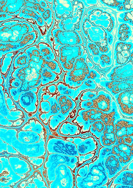 Turquoise Gold Texture 08