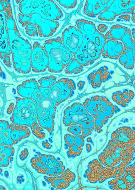 Turquoise Gold Texture 12