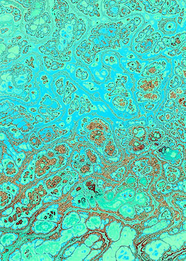 Turquoise Gold Texture 02