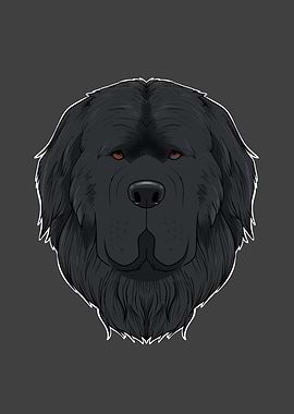 Newfoundland Lover I Dog