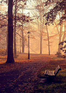Autumn path among trees