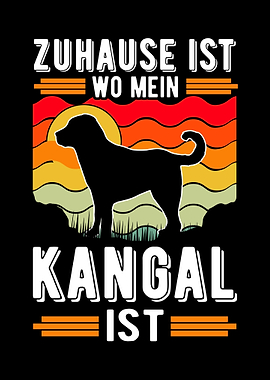 Zuhause ist wo mein Kangal