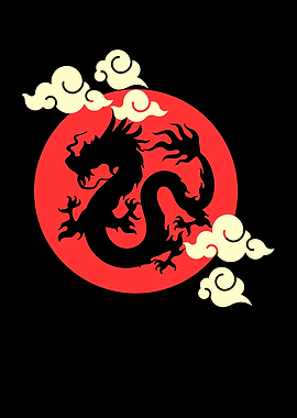 Dragon Shirt Gift Idea
