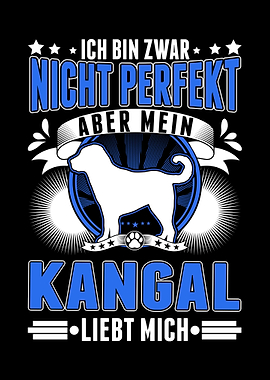 Mein Kangal liebt mich