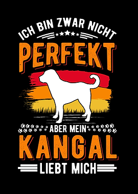 Mein Kangal liebt mich