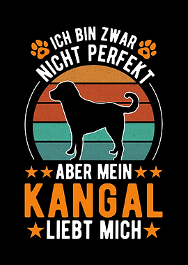 Mein Kangal liebt mich