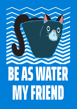 Funny Cat Into Water