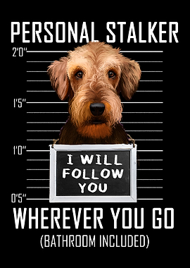 Airedale Terrier Stalker