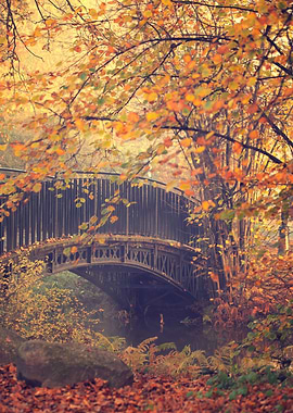 Autumn bridge,park, trees