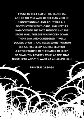 Proverbs 24 30 34