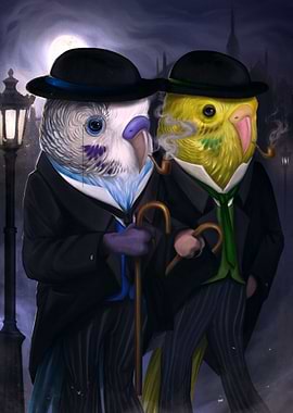 Budgie Gentlemen